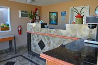 스톤 인 익스텐디드 스테이 유 오브 에이