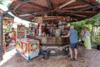Club Pink Palace Hotel - bar