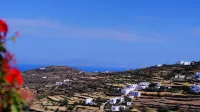 Petali Village Hotel