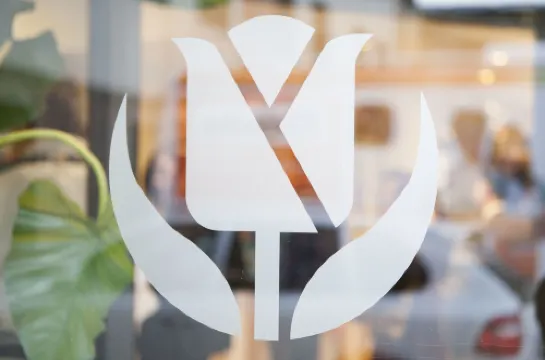 تيوليب إن بادوفا Photos