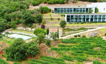 Douro Palace Hotel Resort & Spa