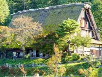 Oyado Hachibei Hotels near Hida no Sato Folk Village Museum