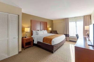 Comfort Inn Kennesaw Hotels near Mountasia