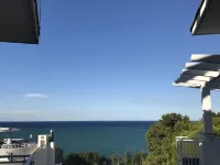帕瑟圖大酒店 - 海景