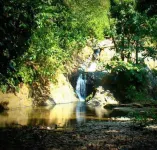 La Gamba Rainforest Lodge Hotels in Golfito