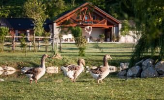 Agriturismo I Comelli
