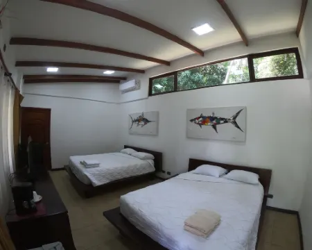 カフェ ドゥ プラヤ ビーチ フロント ホテル ココのホテル