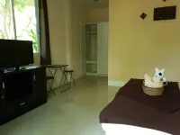 반 수안 피드차미카