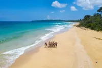 Palmar Beach Lodge Hotels in Bastimentos Island