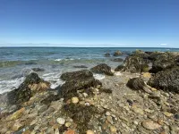 Escape To Cape - Fully Renovated 2 Bedroom House, Close To Main Street And Beach