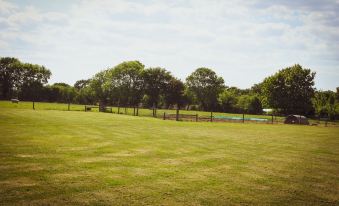 Dawn Chorus Holidays