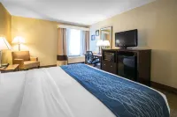 Comfort Inn & Suites DeLand - Near University