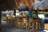 Pura Vida Beach & Dive Resort - Quầy bar