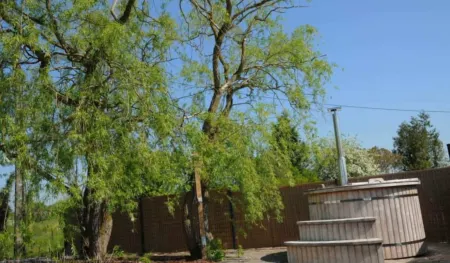 Bungalow in Noiseux with Wood-Fired Hot Tub