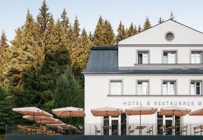 Hotel Orlík Hotels in Адршпах