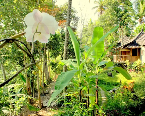 Prashanti Bali من الخارج Photos