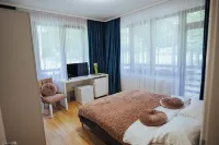 Baile Puturoasa Hotels in 