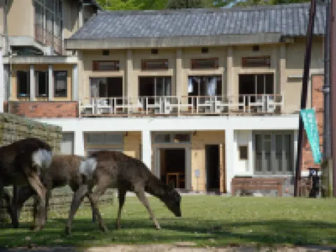 Mountain Home Lodge in Deer Park Hotels in der Nähe von Nigatsu-do