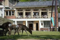 Mountain Home Lodge in Deer Park Hotels in 