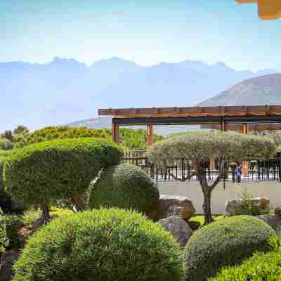 La Villa Calvi Hotel Exterior