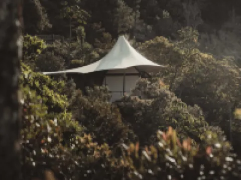 Bosko Hoteles en Guatapé