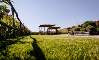 Agriturismo Giù Al Pozzo