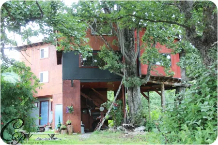 Treehouse too - Poplar Cabins