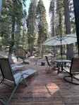 Cabin walking distance to Donner Lake