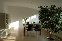 Modern apartment close to Frankfurt / Main