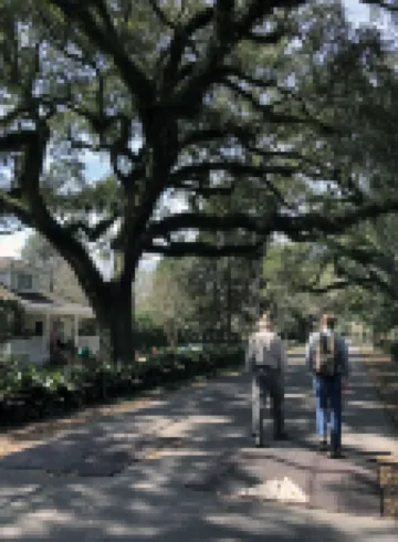 Quiet neighborhood near beaches, bayou and historic downtown Ocean Springs.
