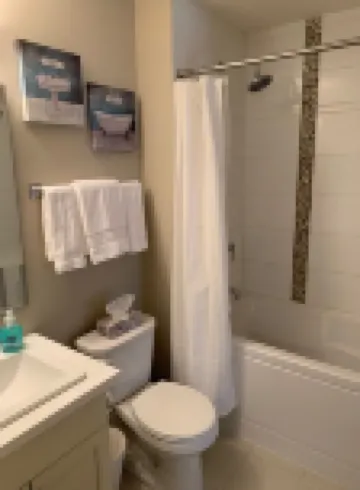 ONE BEDROOM CONDO WITH GORGEOUS LAKE VIEWS AND WORLD CLASS AMENITIES