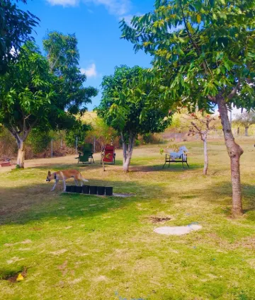 Studio #2 with A/C & 2 queen beds