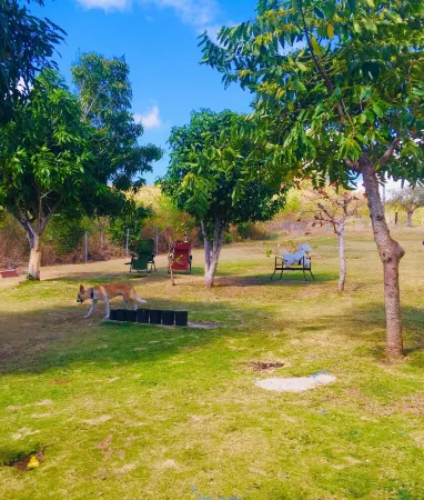 Studio #2 with A/C & 2 queen beds Отели рядом с Аэропорт Викс