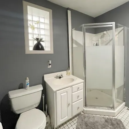 Private Downtown Apt, King Bed, Jet Bath, Fireplace, Grill, near Indiana Dunes