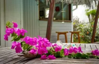 Bungalow Canelle Plage Gros Sable à Sainte Anne Hotels in Saint-Francois