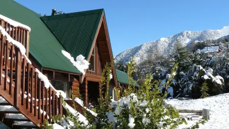 Spacious log chalet with free WIFI, great for a few families