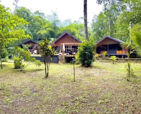 Jungle House, 100m From the Beach, With Private Pool Отели рядом с достопримечательностью «Бока-дель-Драго»