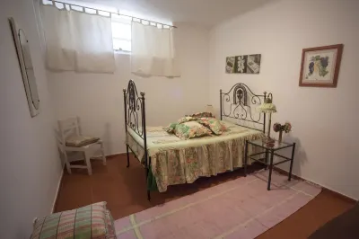 Amazing House in Evora