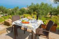 - The Sirens' Refuge -