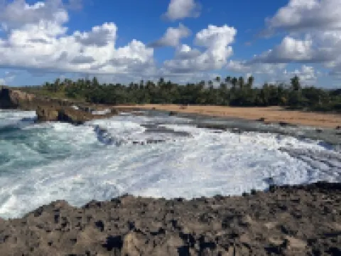 Quiet cozy 1 bedroom 1 bathroom just 2 blocks from beautiful beaches!