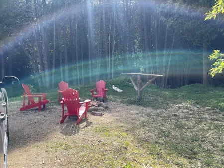 Cottage Retreat on 11 Acres!