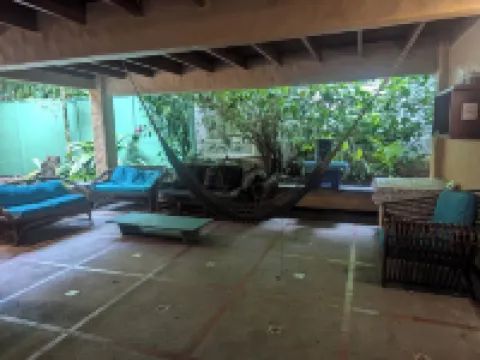 Tasty Dayz Hostel Hotels in Cocles