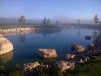 Vineyard Villa