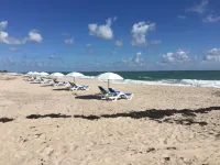 維洛海灘汽車旅館 - 海滩