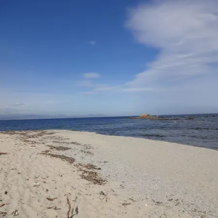 Sezz Saint-Tropez