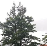 Casa Da Ramada - Ponte De Lima