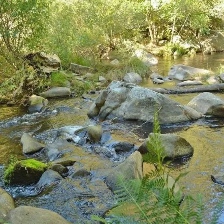 Charming Creekside Cottage! Relax in nature yet only a short walk to town!