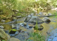 Charming Creekside Cottage! Relax in nature yet only a short walk to town!