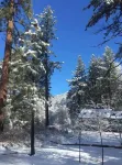 Ahwahnee-be Vintage Cabin - Three blocks to town!