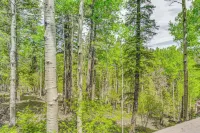 Quaint Cloudcroft Cabin w/ Stunning Forest Views! - 3-Star